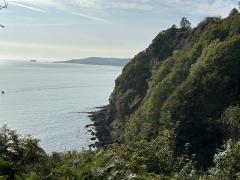 Looking back from above Blackaller's Cove